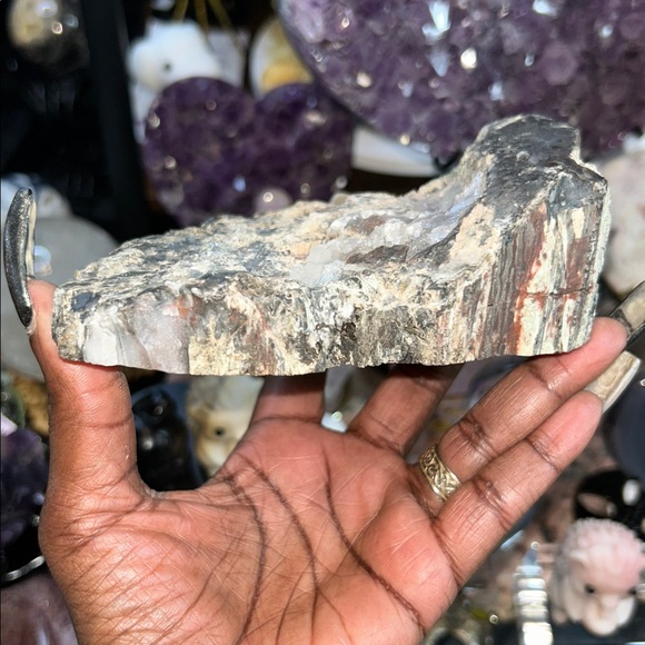 Petrified Wood & Calcite Specimen - Picture 6 of 9